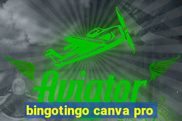 bingotingo canva pro